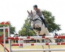 broodmare Milky Way 75 (German Warmblood, 2008, from Cottbus)