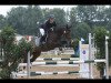 jumper Norbert 60 (German Riding Pony, 2013, from Now or Never)