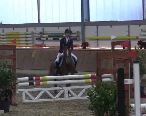 Reitturnier Südlohn-Oeding 2017
