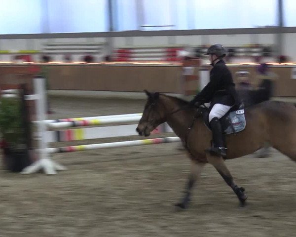 Reitturnier Südlohn-Oeding 2017