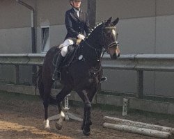 dressage horse Lucie (Hanoverian, 2012, from Laurent)