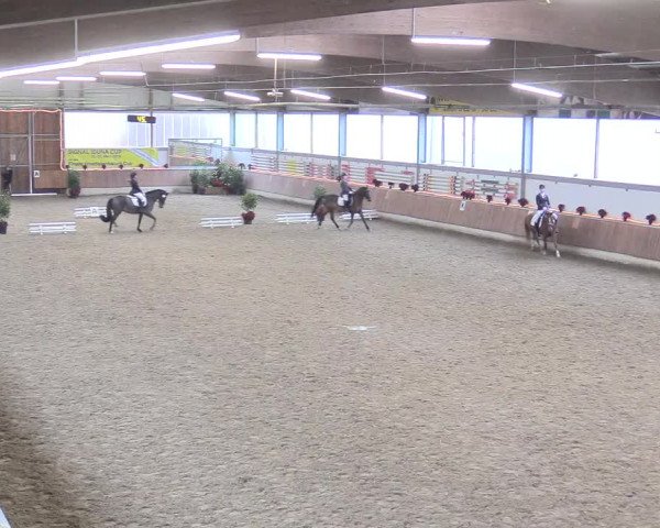 Reitturnier Südlohn-Oeding 2017