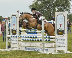 jumper Mystic Moment WE (German Riding Pony, 2013, from Man in Black)