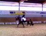 dressage horse Florissant de la Coeur (Westphalian, 2011, from Flanagan)