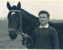 broodmare Juliana (Hanoverian, 1959, from Julius Caesar xx)