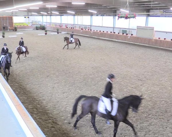 Reitturnier Südlohn-Oeding 2017