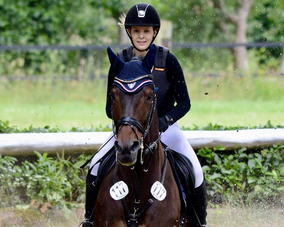 jumper Caleandro 3 (Hanoverian, 2007, from Castus I)