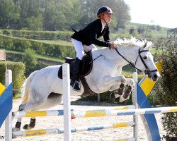 jumper Country Side Dew Drop (Belgium Sporthorse, 2008, from Cordo H)