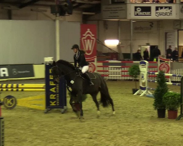 Reitturnier Münster-Handorf 2017