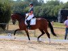 dressage horse Alice im Wunderland 4 (Westphalian, 2015, from Apollon)