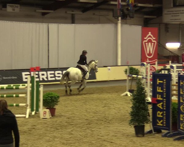 Reitturnier Münster-Handorf 2017
