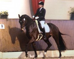 dressage horse Fever Tree (Hanoverian, 2013, from Fürstenball)