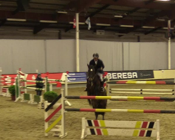 Reitturnier Münster-Handorf 2017
