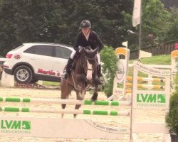 jumper Paul Popey (Oldenburg show jumper, 2013, from Conthargos)