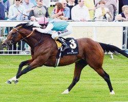 broodmare Nothing But Dreams xx (Thoroughbred, 2014, from Frankel xx)