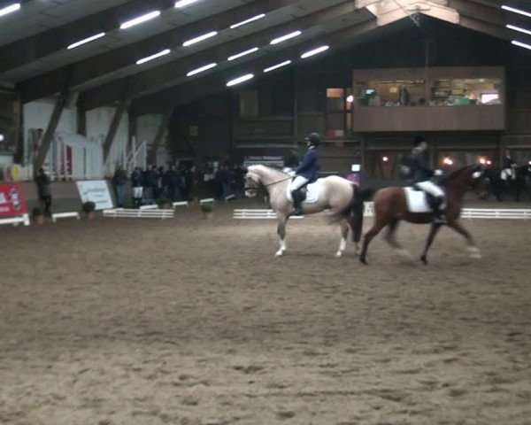Reitturnier Hamburg-Hummelsbüttel 2017