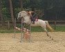 jumper Miss Spirit 2 (Connemara Pony, 2012, from Kildromin Alex)