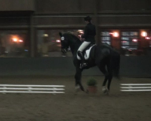 Reitturnier Hamburg-Hummelsbüttel 2017