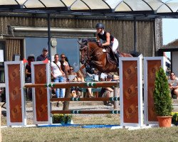 Springpferd Minerva Cherry's Kick (Deutsches Reitpony, 2010, von FS Cocky Dundee)