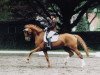 dressage horse Emilia 30 (Hanoverian, 2004, from Embassy I)