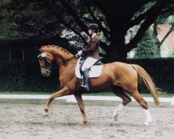 dressage horse Emilia 30 (Hanoverian, 2004, from Embassy I)