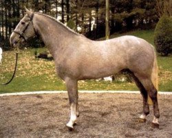 Deckhengst Welcome Flagmount (Irish Draught Horse, 1996, von Flagmount King)