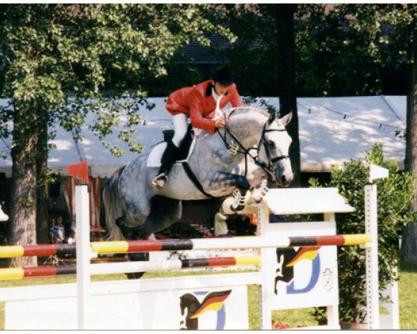 stallion Parker (Westphalian, 1989, from Pilot)