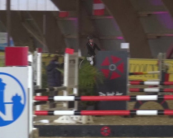 Reitturnier Essen-Stadtwald 2017