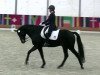 dressage horse Diego Ramirez (Hanoverian, 2008, from Don Frederico)