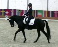 dressage horse Diego Ramirez (Hanoverian, 2008, from Don Frederico)