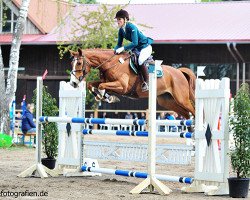 Springpferd Balous La Vie en Rose (Oldenburger, 2011, von Balou du Rouet)