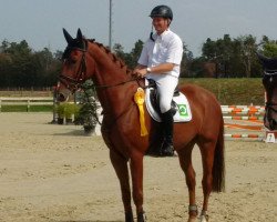 jumper Romanino-San (Oldenburg show jumper, 2010, from Calido I)