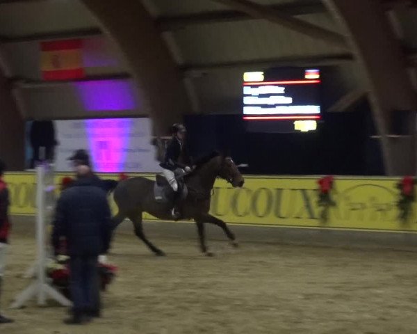 Reitturnier Essen-Stadtwald 2017