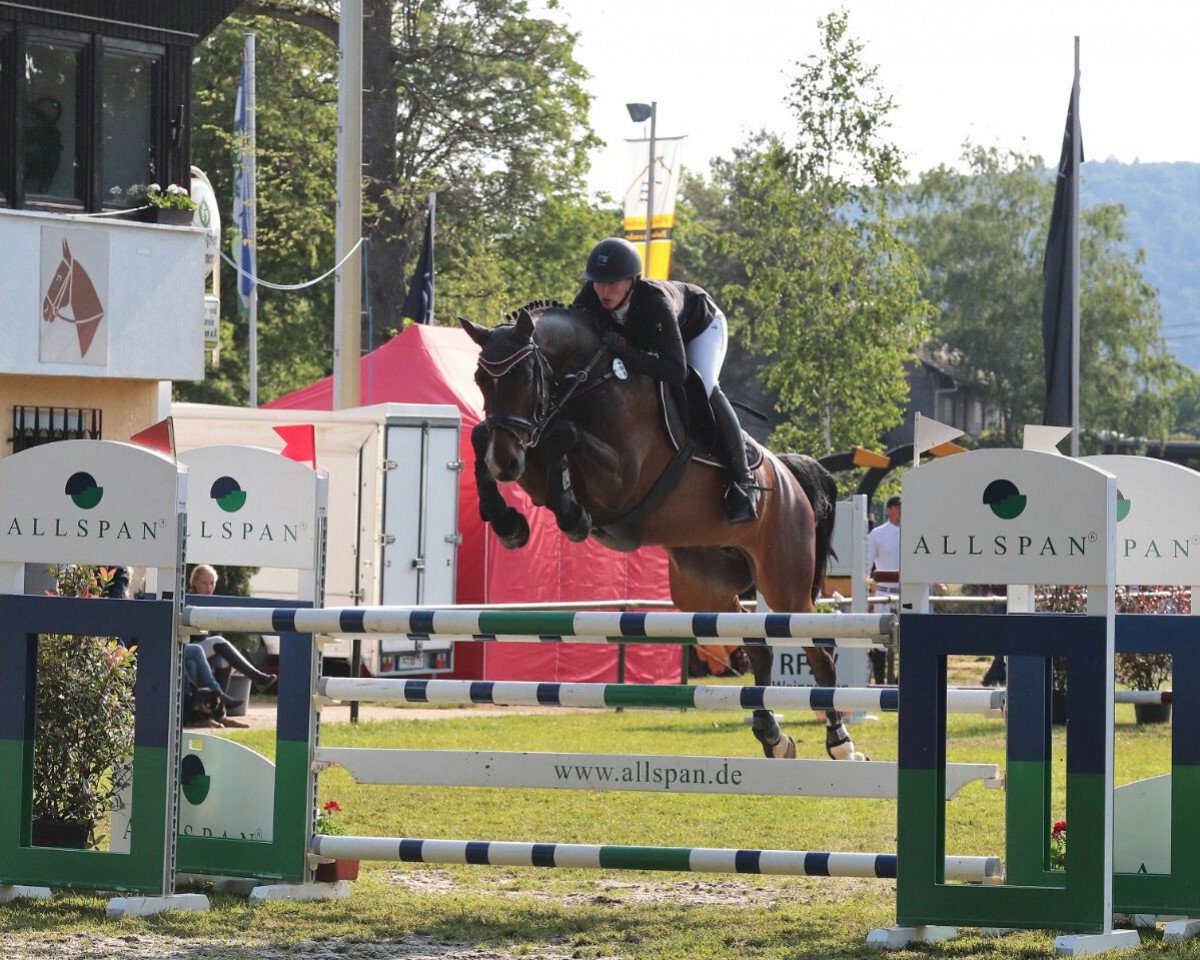 Springpferd Century's First Lady (Deutsches Sportpferd, 2009, von Century)