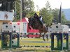 jumper Century's First Lady (German Warmblood, 2009, from Century)