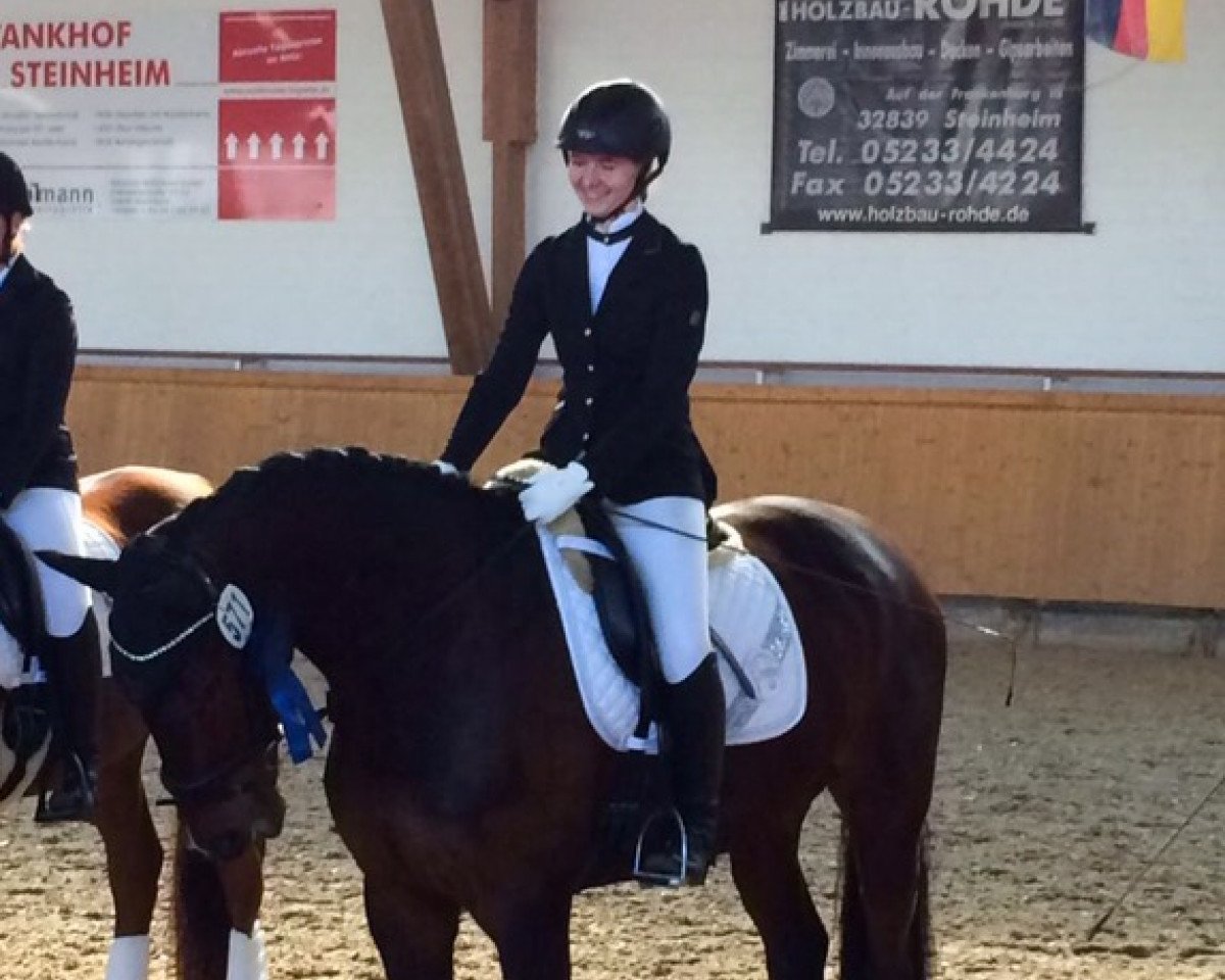 dressage horse Sir Leopold 3 (Oldenburg, 2010, from Sir Donnerhall II OLD)