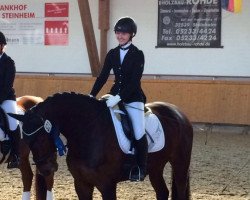 dressage horse Sir Leopold 3 (Oldenburg, 2010, from Sir Donnerhall II OLD)