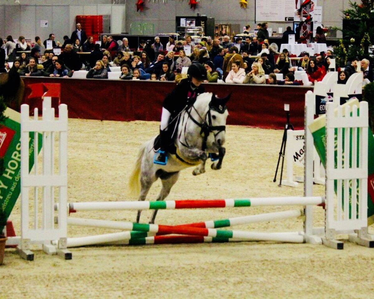 jumper Schneewitchen 31 (Pony without race description, 2007, from Unbekannt PONY)