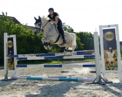 jumper Anton 630 (German Riding Pony, 2000, from Nortenjo)