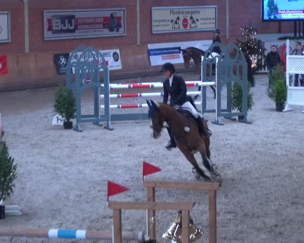 Reitturnier Mönchengladbach-Wickrath 2017