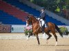 dressage horse Stevie Wonder M (Hanoverian, 2006, from Stedinger)