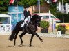 stallion Lord Lichtenstein (KWPN (Royal Dutch Sporthorse), 2005, from Lord Loxley I)