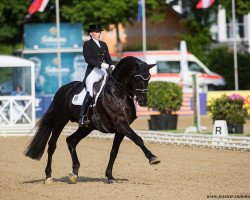 stallion Lord Lichtenstein (KWPN (Royal Dutch Sporthorse), 2005, from Lord Loxley I)