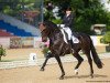 dressage horse Fohlenhofs Rock'n Rose (Hanoverian, 2004, from Rubin Royal OLD)