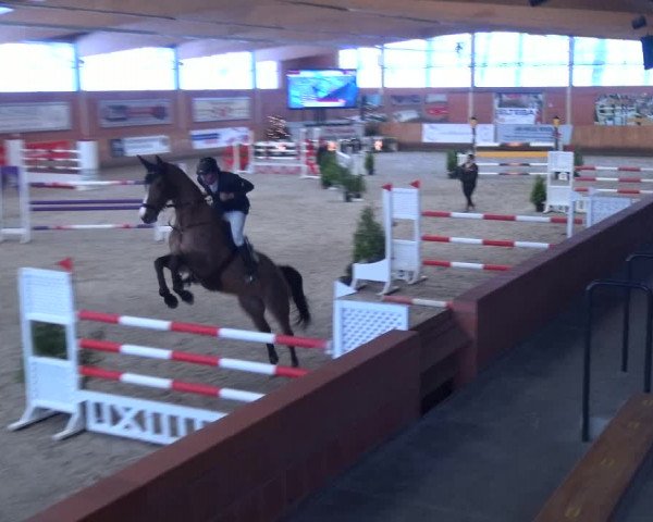 Reitturnier Mönchengladbach-Wickrath 2017