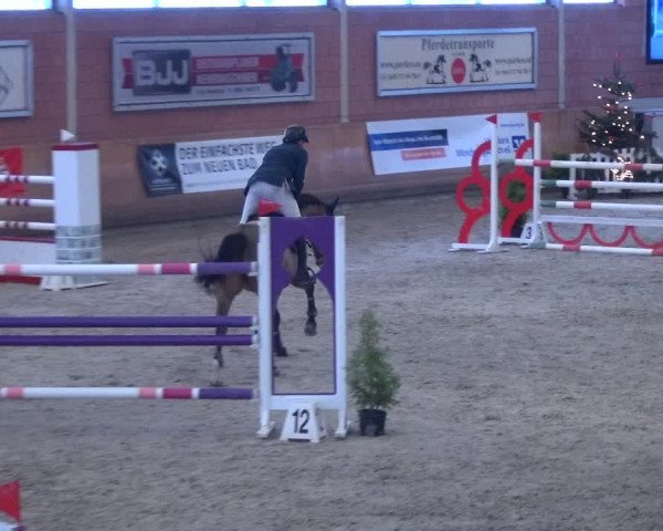 Reitturnier Mönchengladbach-Wickrath 2017