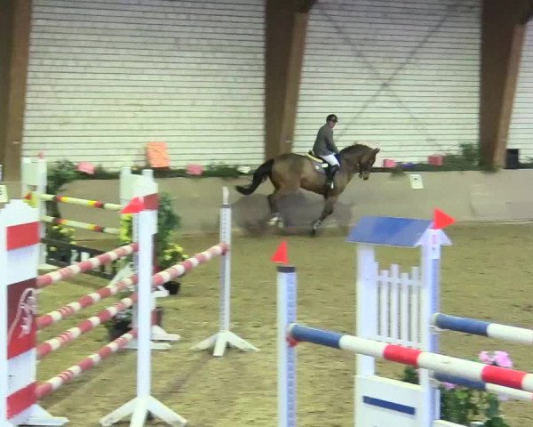Reitturnier Kamen 2017