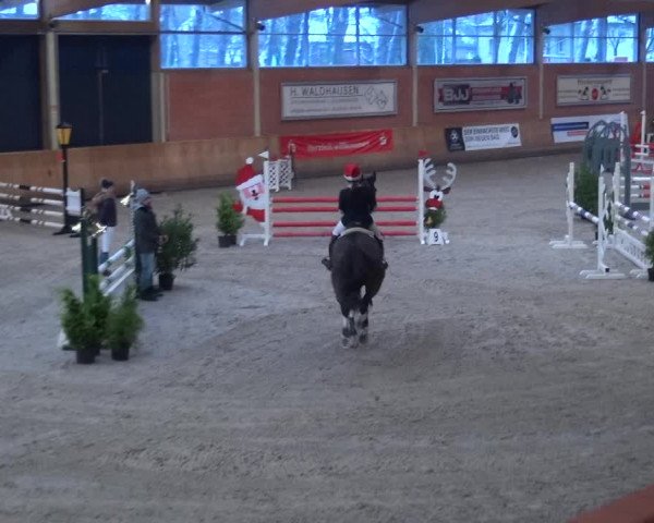 Reitturnier Mönchengladbach-Wickrath 2017