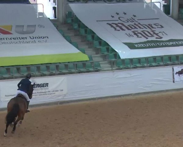 Reitturnier Kreuth 2017