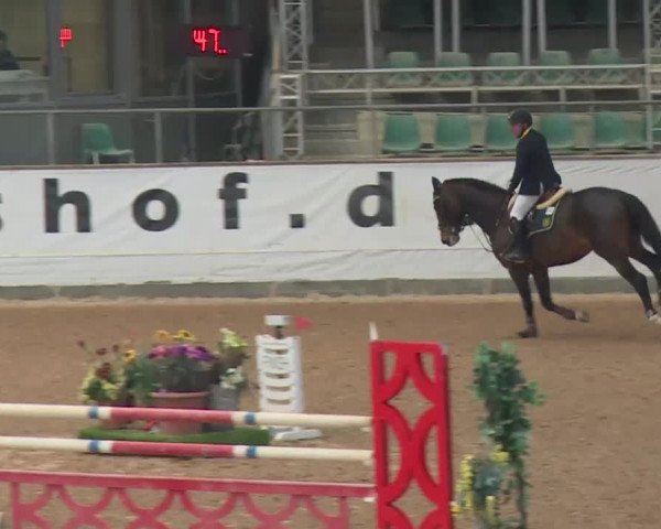 Reitturnier Kreuth 2017